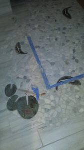 12 20160106 173425 Copy