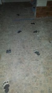 13 20160106 173514 Copy