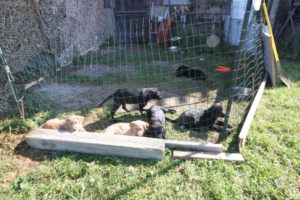 14 Copy of IMG 1429 Copy