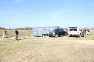 2 Copy of IMG 1391 Copy