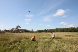 21 Copy of IMG 1476 Copy