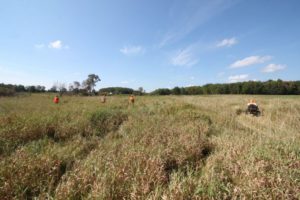 25 Copy of IMG 1482 Copy