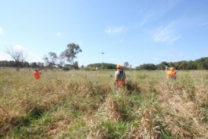 26 Copy of IMG 1483 Copy