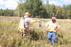 37 Copy of IMG 1507 Copy