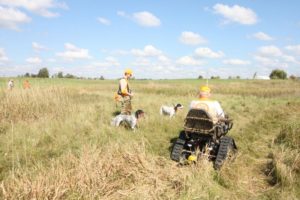 44 Copy of IMG 1526 Copy