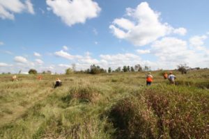 45 Copy of IMG 1527 Copy