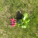 IMG 20210702 164429472