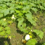 IMG 20210826 114543847