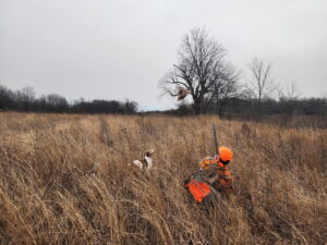 6201657006758584434 (3)