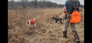 8810898180337248923 (1)