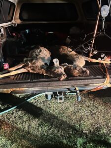 Img 20251121 200627 (1)