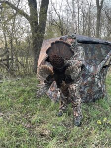 Turkey Hunt April 2026